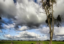 亚冬会｜从“豆豆”到“滨滨”“妮妮”，亚冬会吉祥物之变折射了什么？新华社.