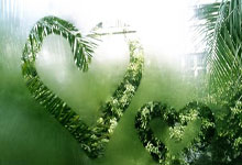 CBA:广厦男篮力克青岛男篮 迎主场12连胜中国新闻网.