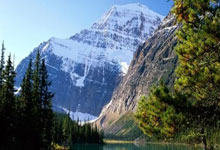 Spears:布朗斋月禁食14小时后 塔图姆在更衣室请全队吃炸鸡.