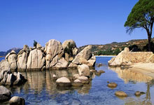 友谊赛-B费梅开二度C罗未出场 葡萄牙4-0尼日利亚.